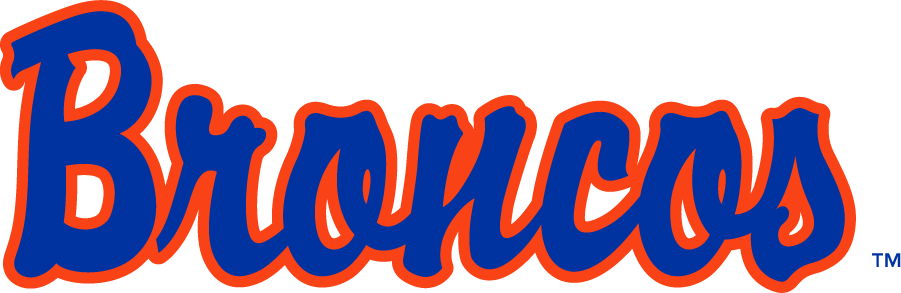 Boise State Broncos 1997-2001 Wordmark Logo v2 iron on transfers for clothing